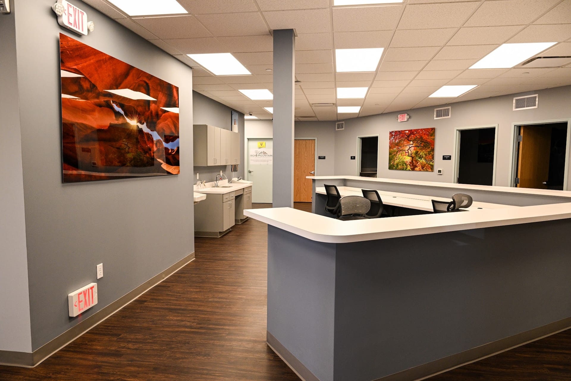 Modern medical office front desk with nature artwork and exam room doors