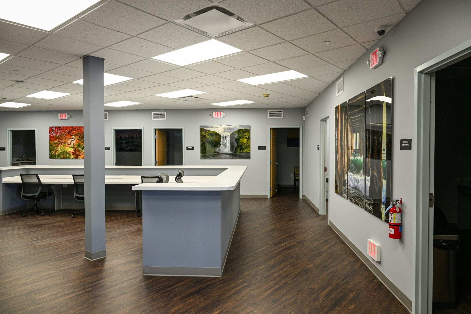 Modern orthopaedic clinic reception desk with nature artwork and exam room doors